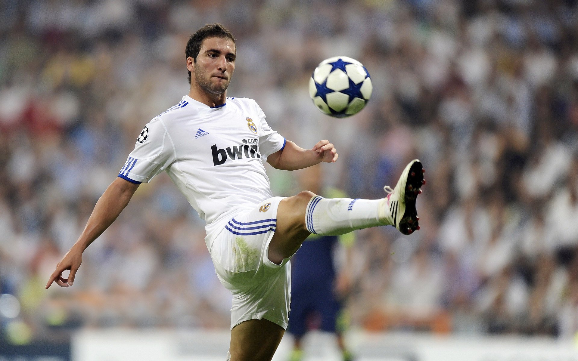 安哥拉对阵拜仁，门迪稳定输出不掉线，非洲雄狮的钢铁防线如何炼成？