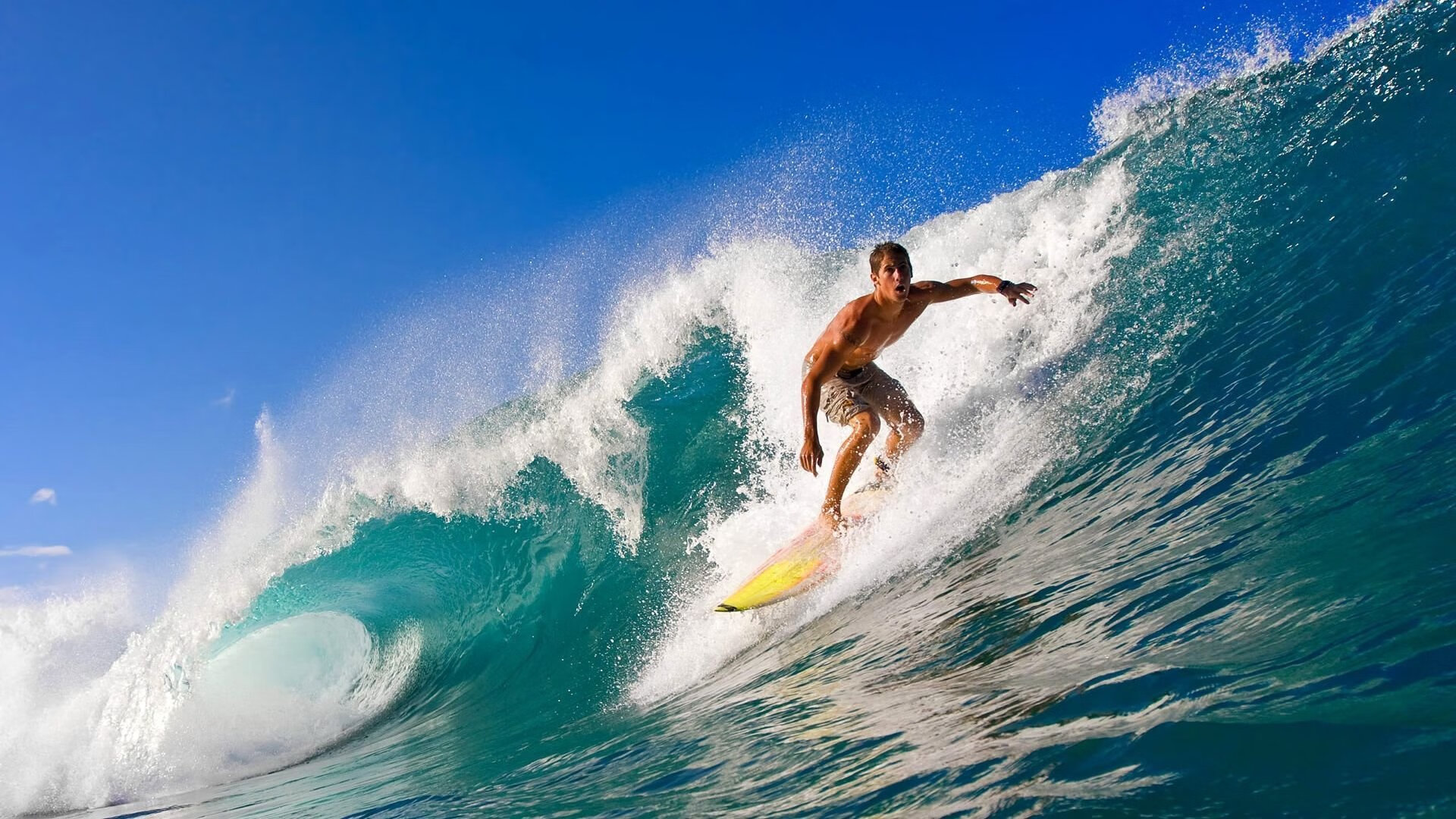 国王淘汰上海队，乔治在欧冠决赛接管比赛，当东方王朝陨落，西方战神加冕